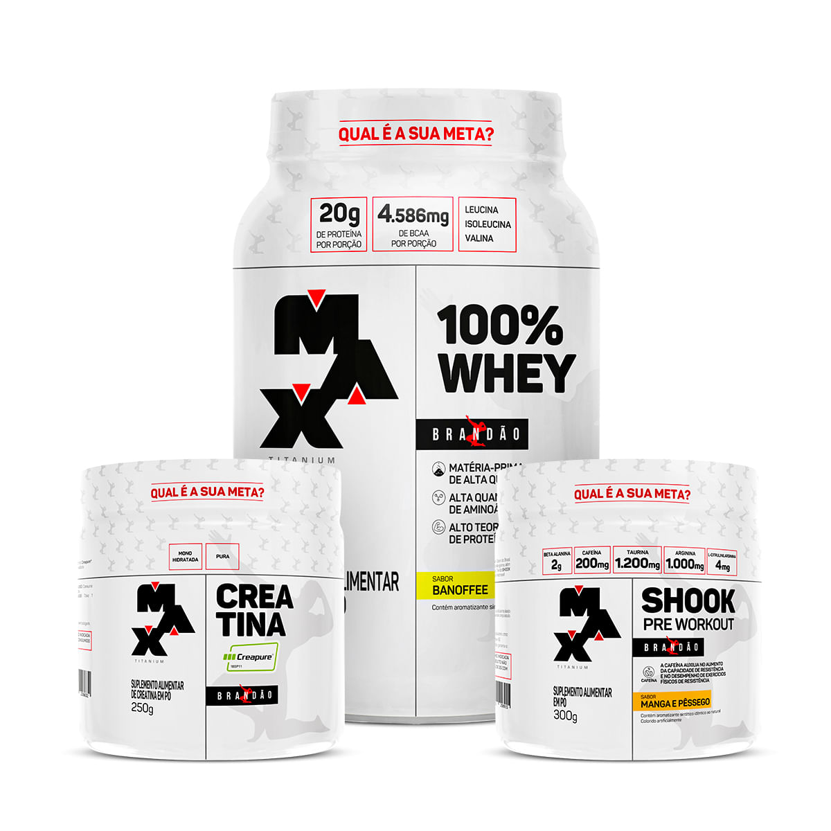 Kit Brandão Open lI - 100% Whey Pote 900g+Creatina Creapure 250g+Pré treino Shook